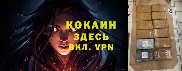 стаф Аркадак