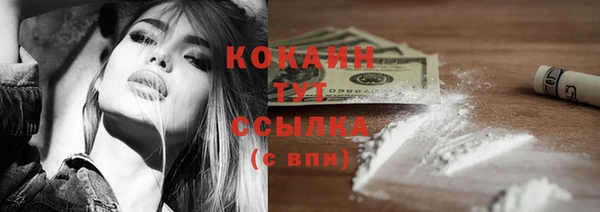 дмт Арсеньев