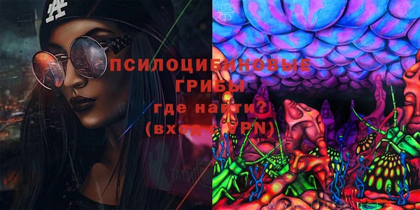 дмт Арсеньев