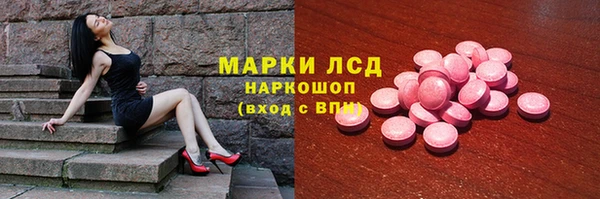 стаф Аркадак