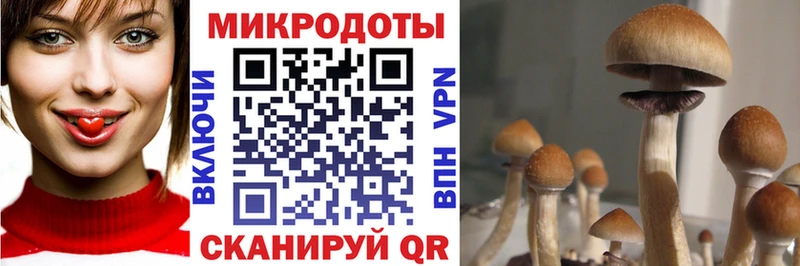 Галлюциногенные грибы ЛСД  купить наркоту  Холмск 