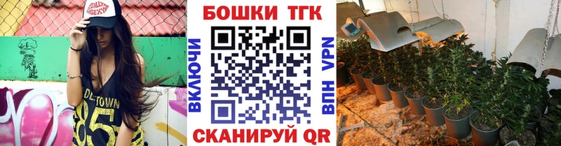 Конопля сатива Холмск